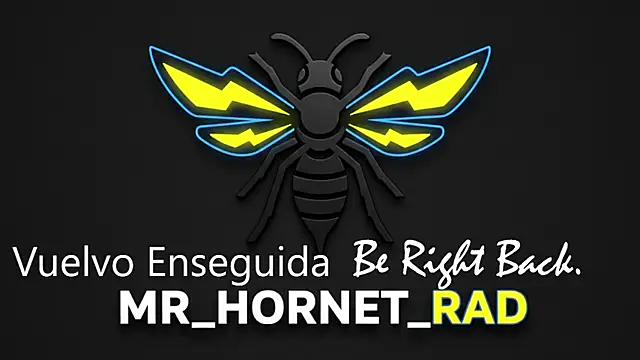 s hornet online show from 05-04-26, 01:14