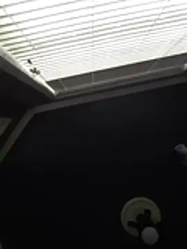 Derrick7799 online show from 02-21-26, 08:22