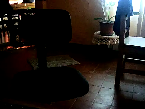 Snapshot of rudyranger chatting on 01-08-26, 05:19 rudyranger online show from 01-08-26, 05:19