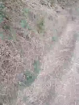 sexyboy 917 online show from 03-30-26, 01:18