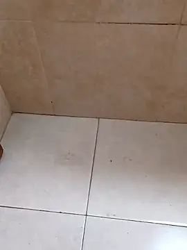 Snapshot of bra33 chatting on 01-18-26, 03:54 bra33 online show from 01-18-26, 03:54