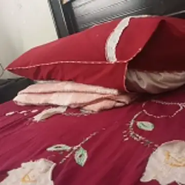    - - bucetuda  2026 online show from 01-06-26, 02:43