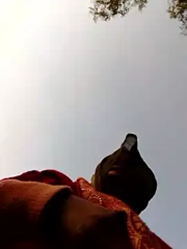 Jyoti sekh online show from 02-10-26, 02:10