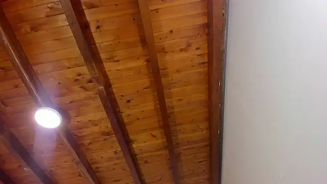 Im FelixHunter online show from 04-14-26, 11:26