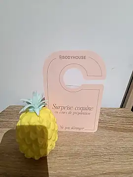 sexnamour online show from 01-13-26, 03:49