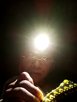 lala-bubu online show from 01-09-26, 03:08