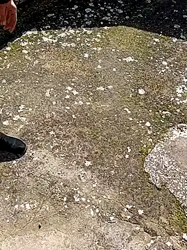 GanaderoMorboso online show from 02-15-26, 11:09