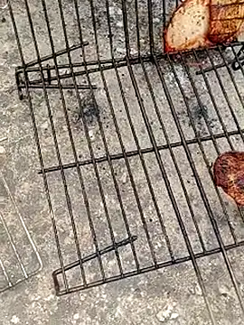 GanaderoMorboso online show from 04-12-26, 12:19