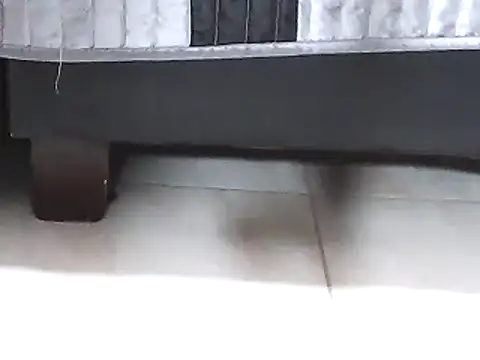 Snapshot of Ellatin15 chatting on 02-26-26, 08:47 Ellatin15 online show from 02-26-26, 08:47