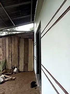 xiaogoal online show from 03-24-26, 02:44