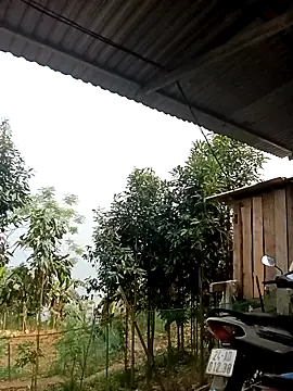 xiaogoal online show from 04-14-26, 02:05