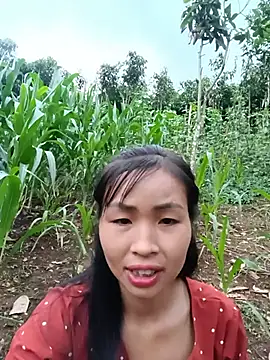 Snapshot of xiaogoal chatting on 06-20-26, 11:48 xiaogoal online show from 06-20-26, 11:48