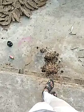 Pagelboy 089 online show from 03-06-26, 02:28