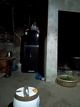 vanvan005 online show from 03-04-26, 01:08