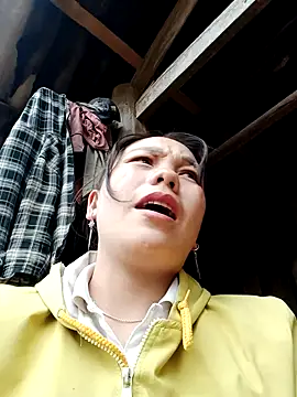 Snapshot of vanvan005 chatting on 01-19-26, 06:06 vanvan005 online show from 01-19-26, 06:06