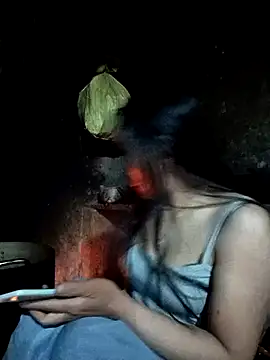 Snapshot of vanvan005 chatting on 01-06-26, 11:25 vanvan005 online show from 01-06-26, 11:25