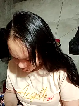 Snapshot of vanvan005 chatting on 01-17-26, 11:30 vanvan005 online show from 01-17-26, 11:30