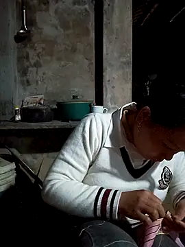 Snapshot of vanvan005 chatting on 02-11-26, 11:54 vanvan005 online show from 02-11-26, 11:54