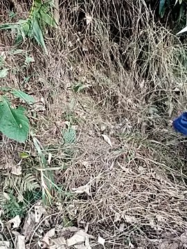 vanvan005 online show from 03-31-26, 10:28