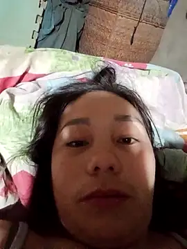 Snapshot of vanvan005 chatting on 01-06-26, 11:31 vanvan005 online show from 01-06-26, 11:31