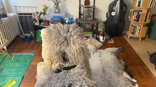 Snapshot of chiloschista chatting on 04-06-26, 06:09 chiloschista online show from 04-06-26, 06:09