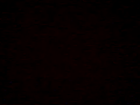  Daisy online show from 04-05-26, 07:20
