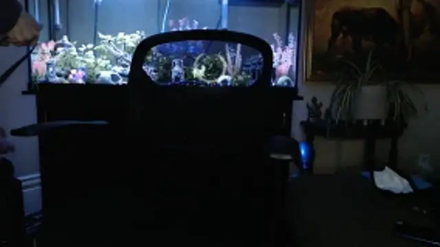 EspanolVato online show from 03-05-26, 11:43