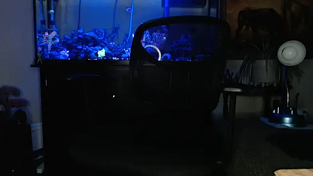 EspanolVato online show from 03-19-26, 09:20