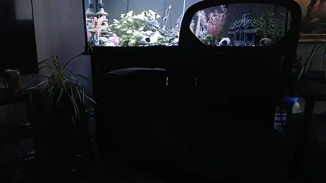 EspanolVato online show from 03-21-26, 11:41