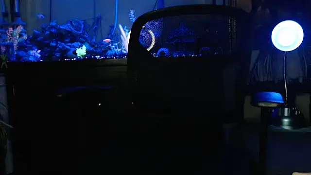 EspanolVato online show from 03-23-26, 09:09