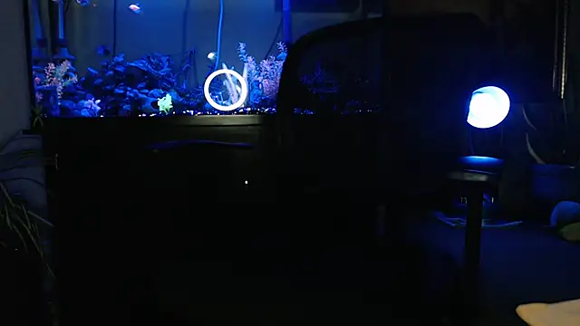 EspanolVato online show from 03-31-26, 09:11