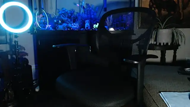 EspanolVato online show from 02-21-26, 09:44