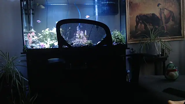 EspanolVato online show from 04-02-26, 11:44