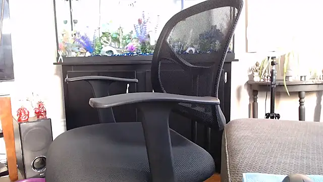 EspanolVato online show from 02-10-26, 09:25