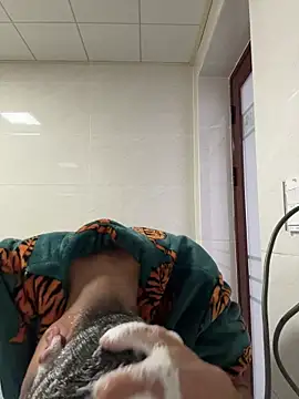 TOYOTA-01 online show from 02-07-26, 07:27