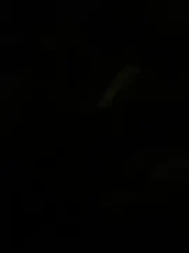 Herr Snusk online show from 07-01-26, 12:11
