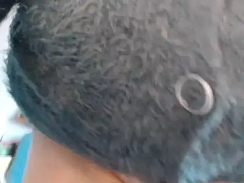 xmyriamx online show from 03-01-26, 02:17