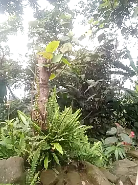 him220 online show from 04-02-26, 10:22