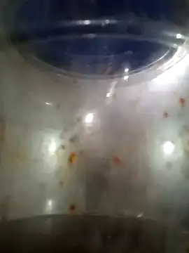 him220 online show from 03-12-26, 02:06