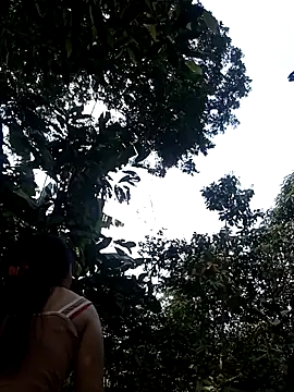 him220 online show from 03-02-26, 06:58