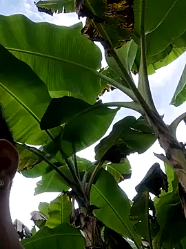 Wild and Sweets online show from 01-11-26, 07:54