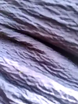 Queen chayna online show from 01-14-26, 06:39