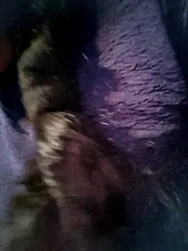 Queen chayna online show from 01-16-26, 10:47