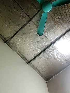 Sana-vn online show from 02-02-26, 12:20