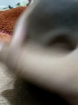  chota bunny  online show from 02-09-26, 08:18