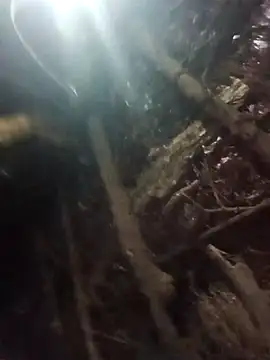 Manvi hote online show from 01-18-26, 04:10