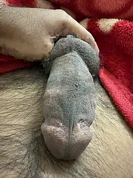 mdlaif1111 online show from 01-10-26, 03:40