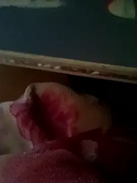 Snapshot of thich_lo chatting on 01-15-26, 06:17 thich lo online show from 01-15-26, 06:17