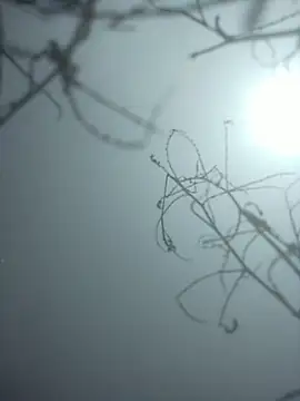 momo loves online show from 01-09-26, 07:48