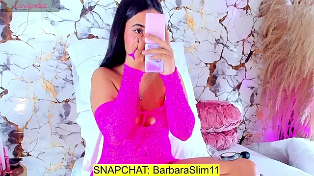 BarbaraSlim online show from 04-08-26, 09:16